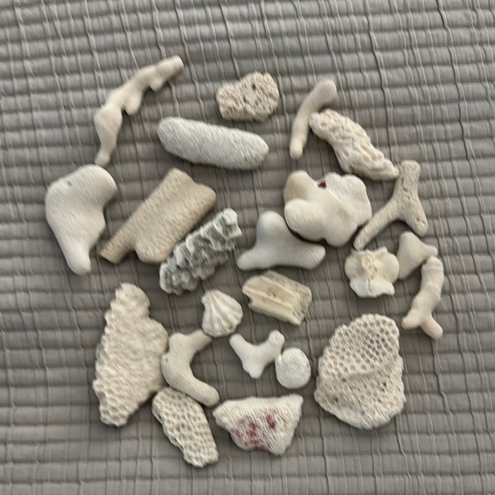 Coral Pieces in Small Apothecary Jar